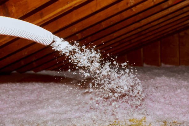 Best Commercial Insulation Services  in Kealakekua, HI